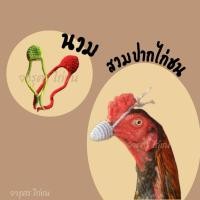 ราคา นวมสวมปากไก่ชน(ไหมพรม) แบบคู่ (46456081856)
