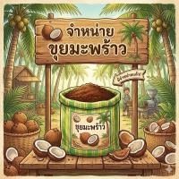 ราคา พร้อมส่งขุยมะพร้าว สับละเอียด ชุด 2 ถุง 99 บาท ถุงละ 2-3 ลิตร เนื้อละเอียด นุ่มฟู ไม่จับตัวเป็นก้อน (56856880654)