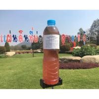 ราคา จุลินทรีย์สังเคราะห์แสงใบทองหลาง ขนาด 600 ml. จากเขาชะงุ้ม จ.ราชบุรี (บรรจุมาพร้อมใบทองหลาง) (29275184763)