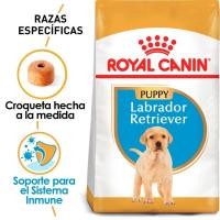 ราคา Royal Canin Dog Labrador Junior 3 Kg อาหารลูกสุนัข ลาบราดอร์ ลูกสุนัข Puppy Exp.07/2026 (17175427444)