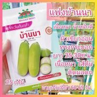ราคา เมล็ดพันธุ์แฟงไส้ตัน บ้านนา ตราตะวันต้นกล้า บรรจุ 25 กรัม เมล็ดแฟง แฟงบ้านนา เม็ดแฟง แฟงไส้ตัน (19886072935)
