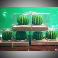 ราคา เทียนหอมแฟนซี ต้นไม้เทียนหอม (1987947291)