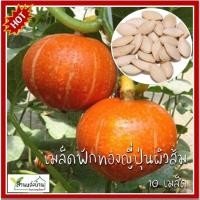 ราคา 10 เมล็ด ฟักทองญี่ปุ่นสีส้ม เมล็ดฟักทองญี่ปุ่นสีส้ม ฟักทองญี่ปุ่นผิวส้ม เมล็ดฟักทองญี่ปุ่นผิวส้ม (24618131899)
