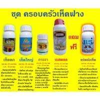 ราคา ชุดครอบครัวเห็ดฟาง ในชุดจะมี 5 ขวด คือ ฮอร์โมนเห็ดดก,ฮอร์โมนเห็ดใหญ่, สมุนไพรการรา ,สมุนไพรเรสพอล แถม ฟรี แร่พลังเห็ด (12806339653)