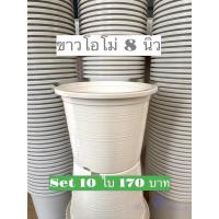 ราคา กระถาง 8 นิ้ว Set 10 ใบ 170 บาท สีขาวโอโม่ (12145367811)
