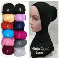 ราคา นินจา ภายใน CEMOL*** (45256793366)