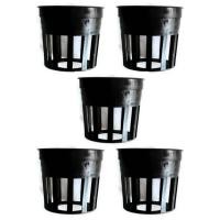 ราคา Papamami Pots Round Black Plastic กระถางพลาสติกกลมสีดำ 1 นิ้ว 5ใบ (293894904)