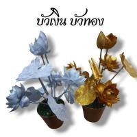 ราคา กระถางบัวเงินบัวทอง ตั้งโต๊ะ พร้อมส้ง (43022570676)