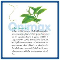 ราคา สารสกัดชาเขียว Green tea extract 500ml. (3653855129)