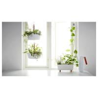 ราคา ikea กระถางต้นไม้ บิตเตร์กูร์ (5291066717)