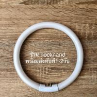 ราคา หลอดไฟแบบห่วงกลมสำหรับโคมไฟเลนส์ขยาย (3510611033)