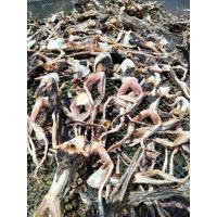 ราคา พร้อมส่งไว เขียดตากแห้ง ( 100 กรัม ) เขียด ตากแห้ง 100% หมักปรุงรสอร่อย (26352662568)