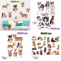 ราคา สติ๊กเกอร์น้องหมา ไซบีเรีย ฮักกี้ คอร์กี้ โกลเด้น (11247552215)
