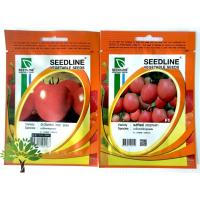 ราคา มะเขือเทศ (tomato seeds) มะเขือเทศเม็ด มะเขือเทศพุ่ม มะเขือเทศหวาน มะเขือเทศหัวใจ มะเขือเทศราชนี เมล็ดมะเขือเทศ เมล็ดผัก (21950350565)