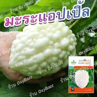 ราคา เมล็ดมะระแอปเปิ้ลขาว 5เมล็ด มะระหัวใจสีขาว มะระขาวไต้หวัน Apple White Bitter Gourd Seeds (9768319379)