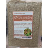 ราคา ข้าวฟ่างหางม้า(พันธุ์ข้าวเหนียว) 200 กรัม (9650880097)