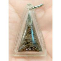 ราคา หลวงปู่ทวดเนื้อว่าน วัดห้วยมงคล ปี 46 (23085251243)