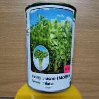 ราคา เมล็ดพันธุ์คื่นฉ่าย(ผักชีล้อม50กรัม)คื่นฉ่าย มรกต (26862869371)