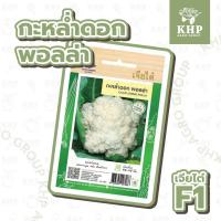 ราคา เมล็ดพันธุ์ กะหล่ำดอก พันธุ์ พอลล่า ตรา เจียไต๋ (เครื่องบิน) ดอกกะหล่ำ F1 คัดพิเศษ (11122846970)