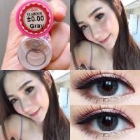ราคา glamour gray รุ่นสีเทาฟุ้งลายชัดคมออกฝอ แต่งหน้าขึ้นคละแบรนด์ (24614919197)