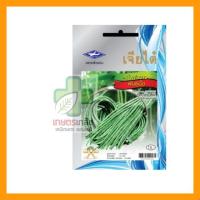 ราคา 10 แถม 1!! เมล็ดพันธุ์ผัก ถั่วฝักยาว พันธุ์เนื้อ เจียไต๋ (2587943980)