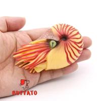 ราคา Buffato โมเดลสัตว์ Nautiloid หอย งวงช้าง เหลืองแดง ขนาด 9.50 CM (จากหาดใหญ่) (24440607097)
