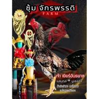 ราคา ไข่ไก่ชนพม่า แสนกล 70 ล้าน + มูเซอดำ ม้าล่อรำวง แม่หูตาพิเศษ (25290510528)