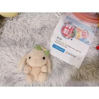 ราคา ตุ๊กตาพวงกุญแจกระต่ายอมูส (23248813301)