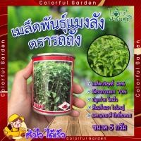 ราคา เมล็ดพันธุ์แมงลัก 5 กรัม ตรารถถัง ใบแมงลัง เมล็ดพันธุ์ ผักแมงลัก เมล็ดพันธุ์ผักสวนครัว เมล็ดแมงลัก อัตราการงอกสูง (22642141304)