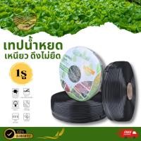 ราคา เทปน้ำหยด MAYOKI ความหนา0.16มม. ระยะห่างรู 10,20,30 ซม. 1 รู ยาว 1000 เมตรเต็ม สายน้ำหยด 1000 เมตร (43163518423)