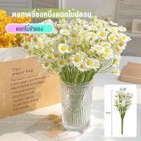 ราคา ช่อดอกเดซี่แห้งปลอม ดอกไม้ประดิษฐ์สไตล์วินเทจ สำหรับตกแต่งบ้านและงานถ่ายภาพ (27839583983)
