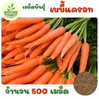 ราคา เมล็ดพันธุ์เบบี้แครอท จำนวน 500 เมล็ด (43877416773)