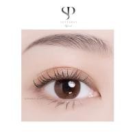 ราคา คอนแทคเลนส์ Mini Soff Brown (Kitty Kawaii) ขนาดมินิ (15448727933)