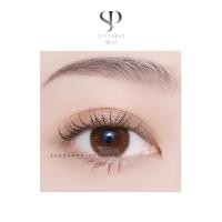 ราคา คอนแทคเลนส์ Mini Someday Brown (Kitty Kawaii) ขนาดมินิ (19447410750)