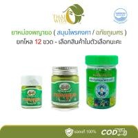 ราคา [ยกโหล 12 ขวด] อภัยภูเบศร ยาหม่องพญายอ /ยาหม่องพญายอ สมุนไพรคงคา (22432022867)