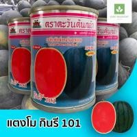 ราคา กินรี 101 เมล็ดพันธุ์ แตงโมกินรี 40กรัม ตราตะวันต้นกล้า เมล็ดแตงโม (379356970)