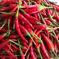 ราคา เมล็ดพริกจินดาแดง300+เม็ดซื้อ5แถม2 #พริกจินดาแดง (6173216188)