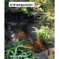 ราคา ตาข่ายคลุมบ่อปลา อ่างเลี้ยงปลา ในสวน ป้องกันนก ป้องกันใบไม้ล่วง ขนาด2x4เมตร / 3x3เมตร /ขนาดใหญ่ 6x7เมตร Fish Pond Net (8162535533)