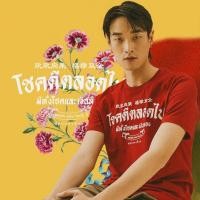 ราคา เสื้อยืดสกรีนลาย โชคดีตลอดไป คอลเลคชั่น ตรุษจีน 2024 (25356347848)