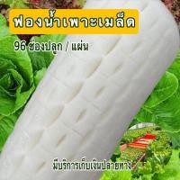 ราคา ฟองน้ำเพาะเมล็ด ฟองน้ำปลูกผักไฮโดรโปนิกส์ เกรด A 96 หลุม ต่อแผ่น (5051185805)