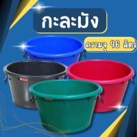 ราคา กะละมัง น.ส. ตรางู เบอร์ 8 ความจุ 46 ลิตร กะละมังตรางู กะละมัง นส8 มีหูหิ้ว (21167339117)