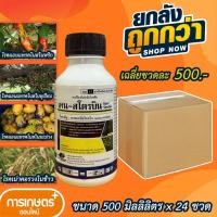 ราคา เคน-สโตรบิน 1ลัง 500มิลลิลิตรX24ขวด อะซอกซีสโตรบิน25% กำจัดโรคกุ้งแห้ง แอนแทรคโนส ไฟท็อปเทอร่า ราสีชมพู ราน้ำค้าง (23883507591)