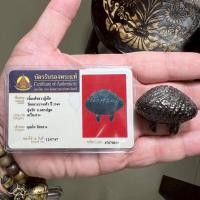 ราคา เบี้ยแก้หลวงปู่เจือ วัดกลางบางแก้ว แบบมีบัตรรับรองพระแท้ (43814880737)