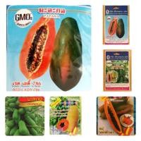 ราคา เมล็ดมะละกอพันธุ์ต่างๆ ส้มตำ แขกนวล แขกดำ เรดเลดี้ ฮอลแลนด์ ฟรีแลนด์ ทองสว่าง (1330242073)