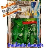 ราคา เมล็ดแตงร้าน เมล็ดพันธุ์ผักเจียไต๋ (2908340052)