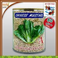 ราคา เมล็ดพันธุ์ ผักกาดเขียว เขียวปลี พันธุ์ A (80 กรัม) เมล็ดผักกาดดอง ผักกาดเขียวปลี เมล็ดพันธุ์ผักสวนครัว ตราปลาทอง (9729018595)