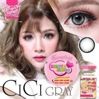 ราคา KittyKawaii Cici Eff.19 Gray ใหญ่ (24226637282)