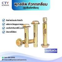 ราคา สกรูขยาย สกรูหัวทอง พุกเหล็ก พุกสลีพ หัวหกเหลี่ยม ชุบซิงค์เหลือง (29338803898)
