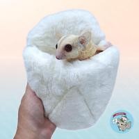ราคา V (ถุงนอนปุยขาว) ถุงนอนชูการ์ ถุงนอนกระรอก (40650869210)