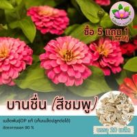 ราคา เมล็ดพันธุ์ดอกบานชื่น สีชมพู จำนวน20เมล็ด เมล็ดพันธุ์opแท้ เก็บเมล็ดปลูกต่อได้ ปลูกง่าย โตไว(โปรโมชั่นร้านซื้อ5แถม1) (24425611712)